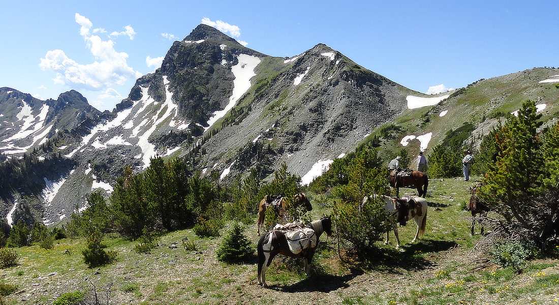 SpanishPeaks BOZEMAN HORSEBACK RIDING
