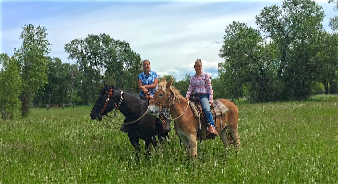 BOZEMAN HORSEBACK RIDING Booking Conditions